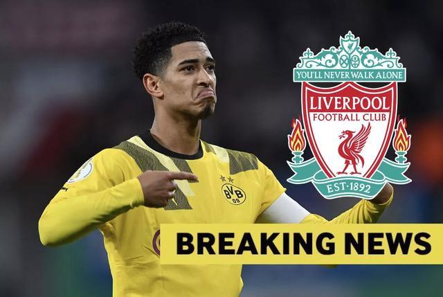 女子篮球联赛MVP候选人公布